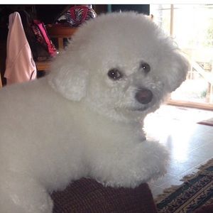 Meet your Posher, Tiffany